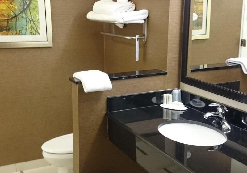 带大床的套房, Fairfield Inn & Suites By Marriott Cuero