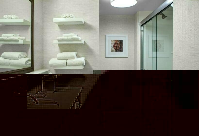 غرفة قياسية سرير كينج, Hampton Inn & Suites Pittsburg Kansas Crossing