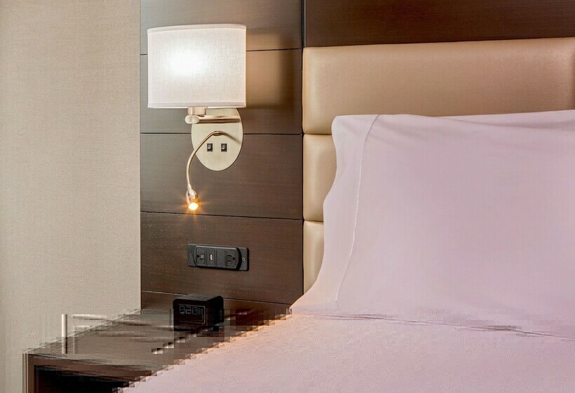 스탠다드 룸 킹사이즈 침대, Hilton Garden Inn Nyc Financial Center/manhattan Downtown
