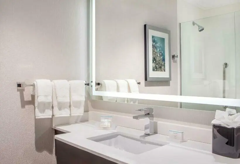 اتاق استاندارد با تخت بزرگ, Hilton Garden Inn Nyc Financial Center/manhattan Downtown