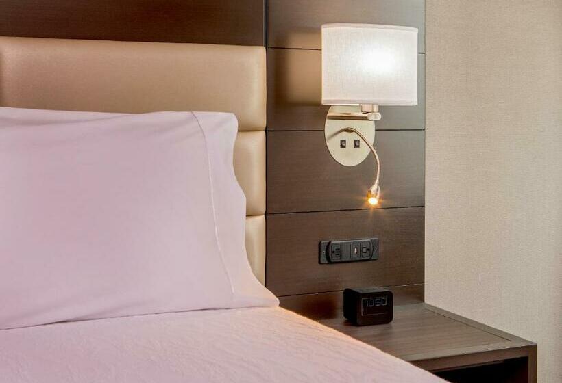 스탠다드 룸 더블 침대 2개, Hilton Garden Inn Nyc Financial Center/manhattan Downtown