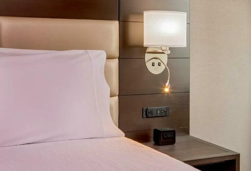 اتاق استاندارد با 2 تخت دوبل, Hilton Garden Inn Nyc Financial Center/manhattan Downtown
