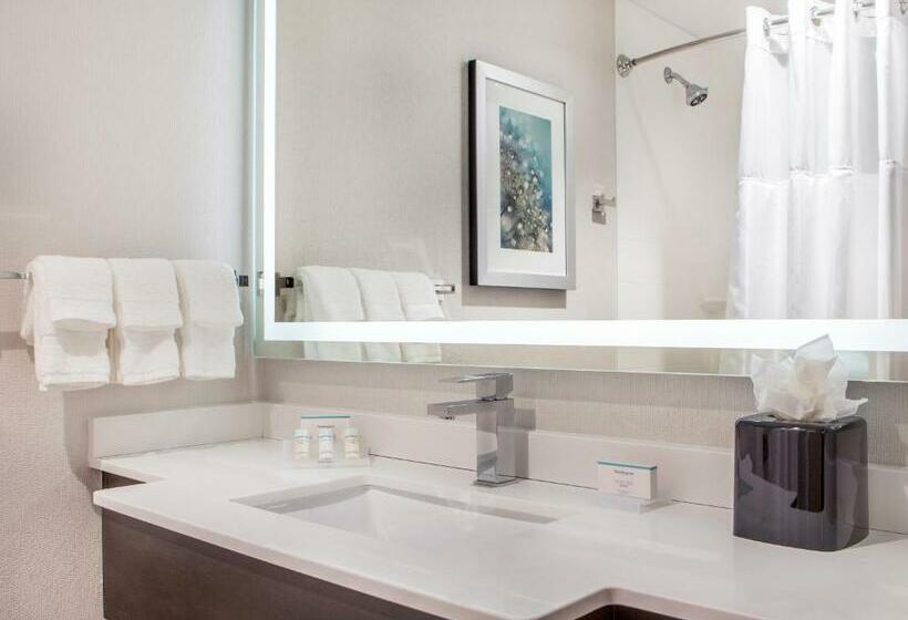 스탠다드 룸 더블 침대 2개, Hilton Garden Inn Nyc Financial Center/manhattan Downtown