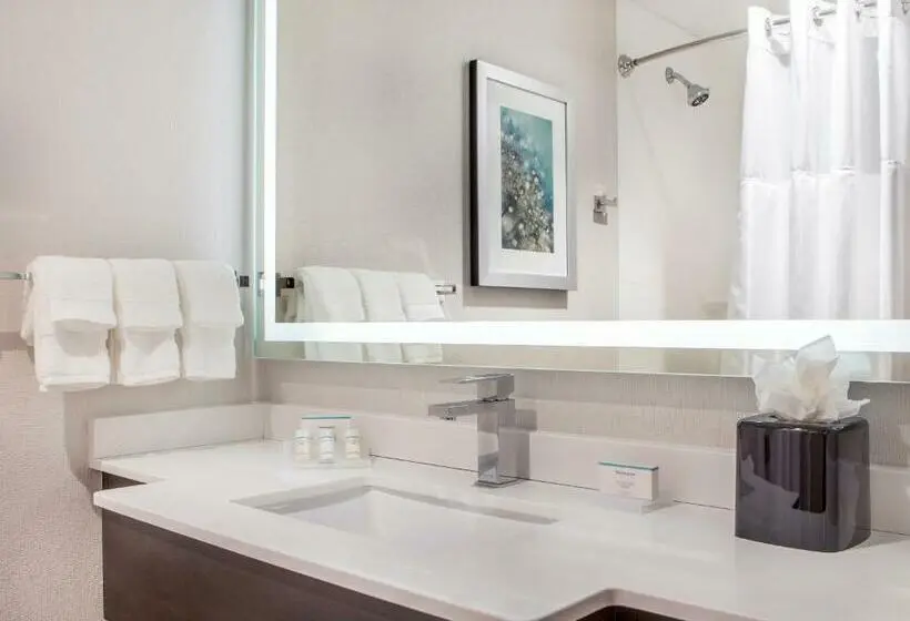 اتاق استاندارد با 2 تخت دوبل, Hilton Garden Inn Nyc Financial Center/manhattan Downtown