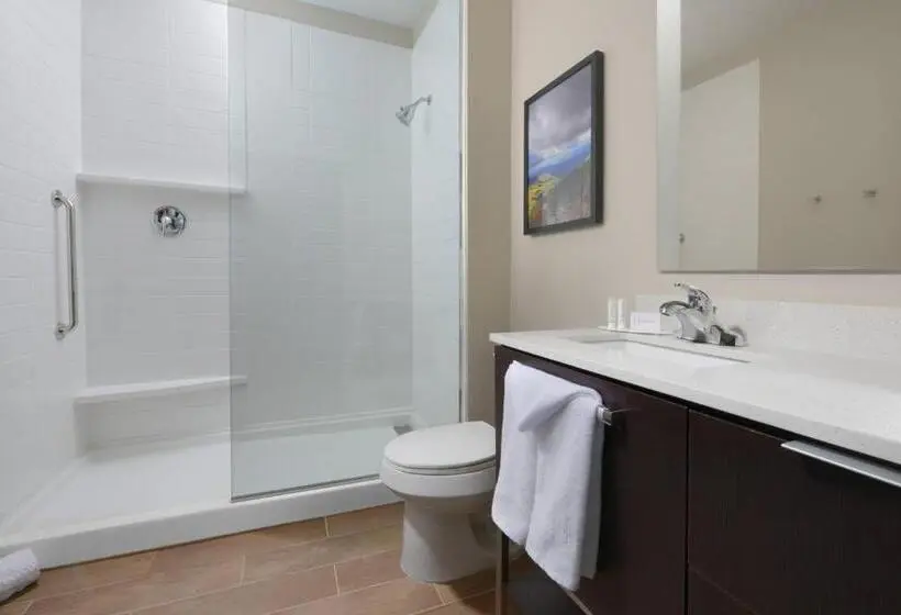 Standard-studio, Towneplace Suites By Marriott Denver South/lone Tree