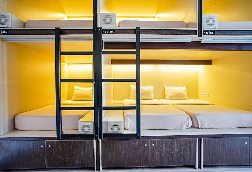 חדר משפחתי, Dd Living