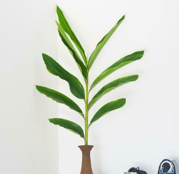 Номер Deluxe Вид на Озеро, Thebloem Guest Suites By Knysna Paradise Collection