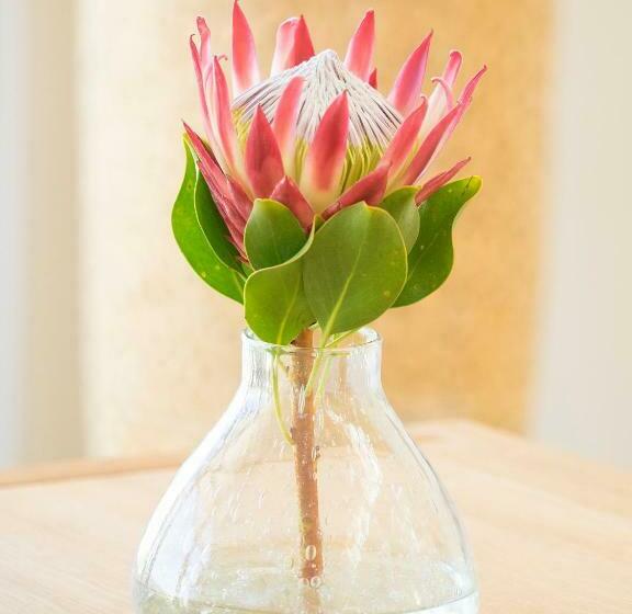 Номер Deluxe Вид на Озеро, Thebloem Guest Suites By Knysna Paradise Collection