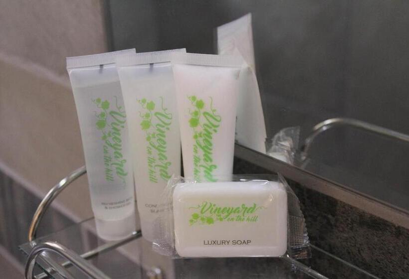 Номер Deluxe, Vineyard On The Hill Guest House