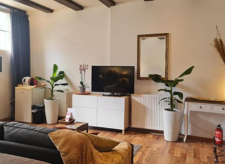 اتاق لوکس, Crown Guesthouse Amsterdam