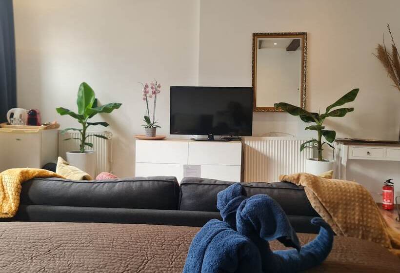 اتاق لوکس, Crown Guesthouse Amsterdam