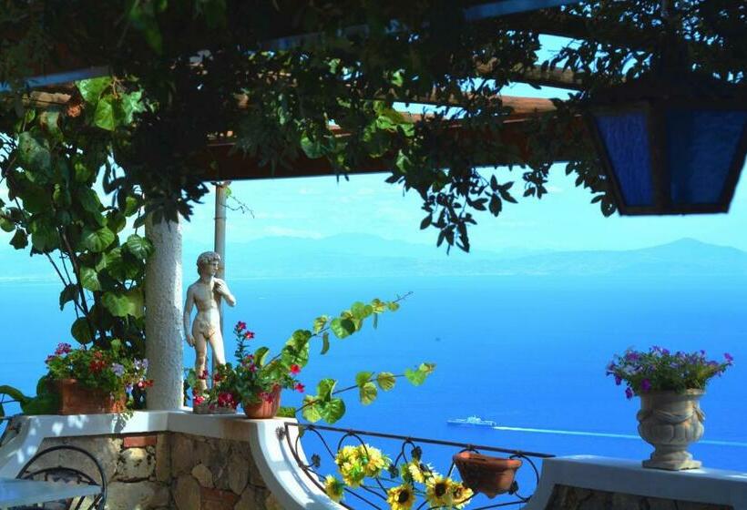 Номер Стандарт, B&b Miramare