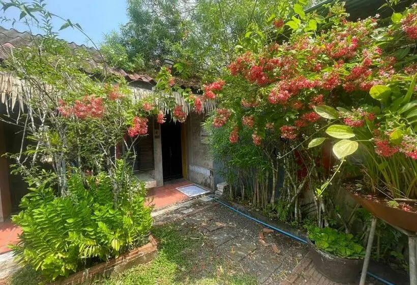اتاق استاندارد, Artist S Place Trat