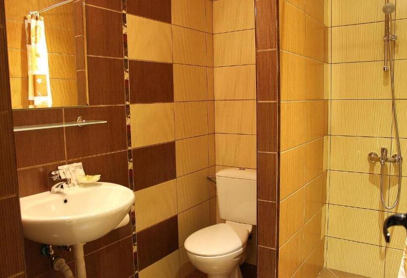 חדר סטודיו סטנדרד, Diplomat Park