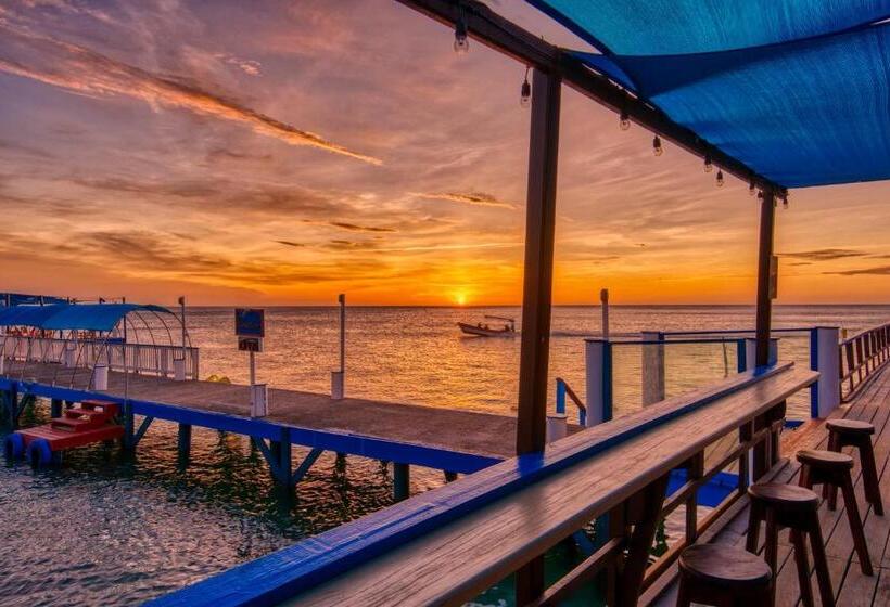 اتاق لوکس با بالکن و چشمانداز دریا, Caribe Tesoro