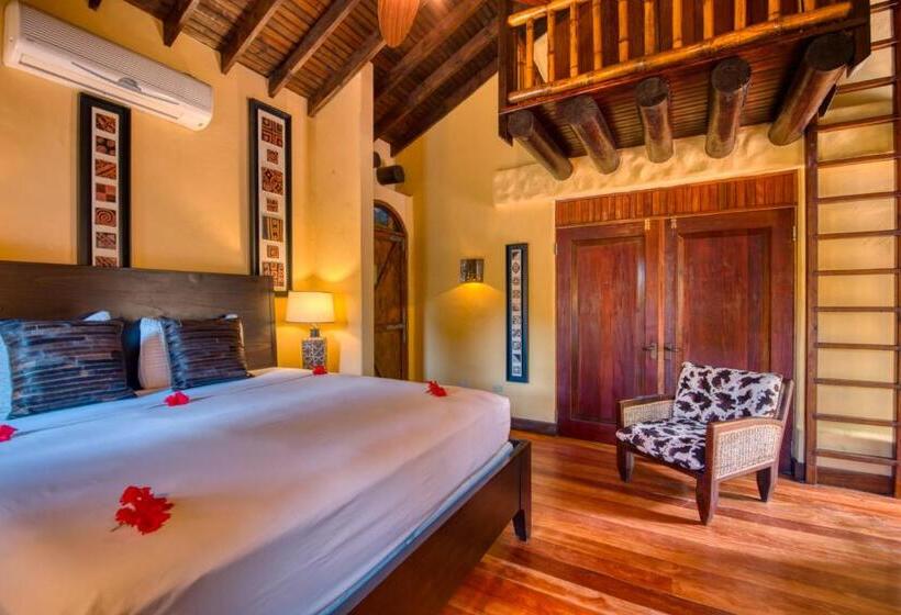 سوییت, Caribe Tesoro