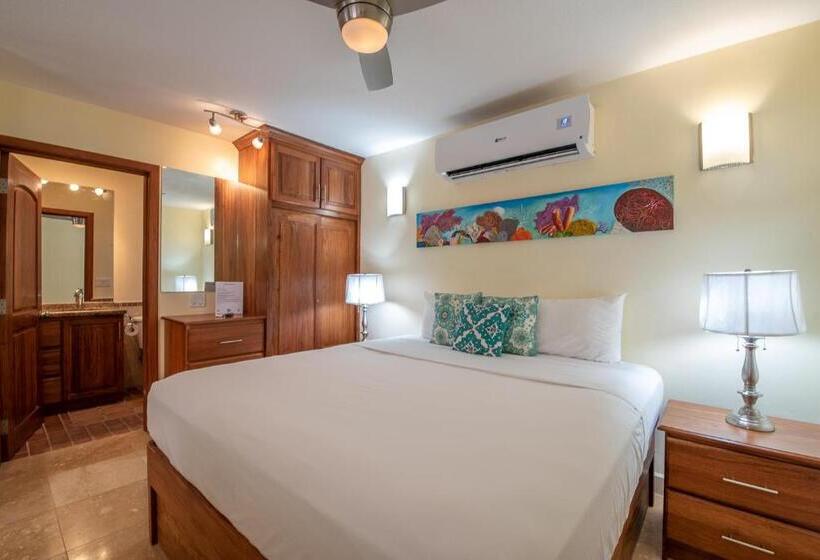 استودیو استاندارد با تخت کینگ, Caribe Tesoro