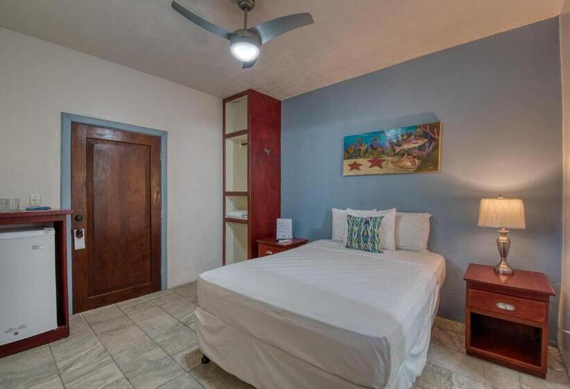 استودیوی استاندارد, Caribe Tesoro