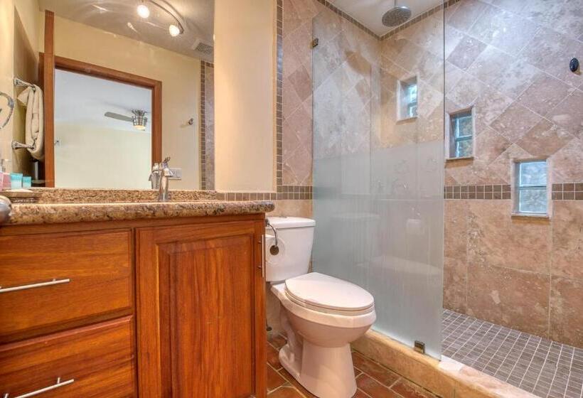 سوییت با چشمانداز باغ, Caribe Tesoro