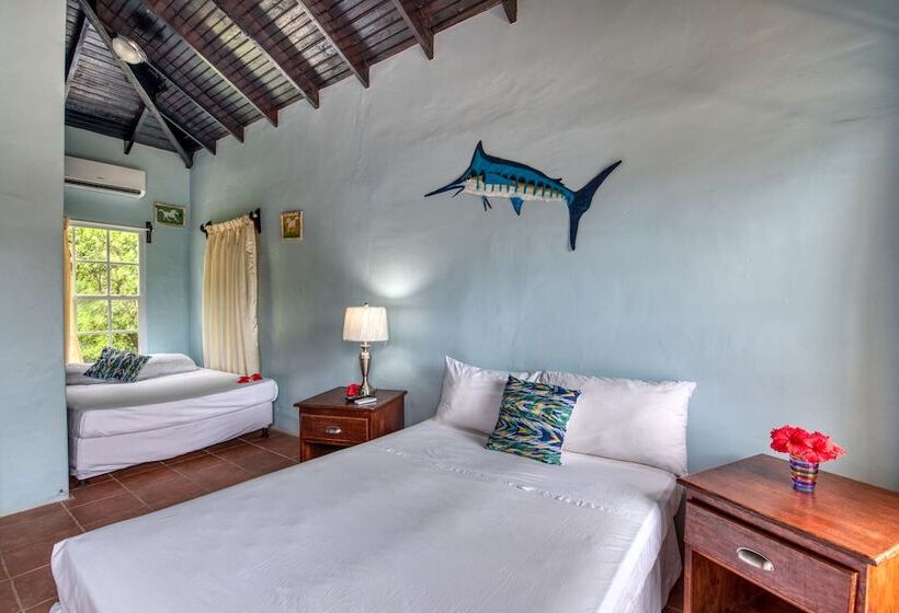 ویلای 3 خوابه, Caribe Tesoro