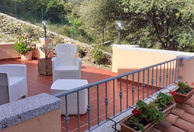 اتاق استاندارد با تراس, Li Muntigeddi