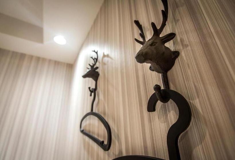 اتاق سوپریور, The Young