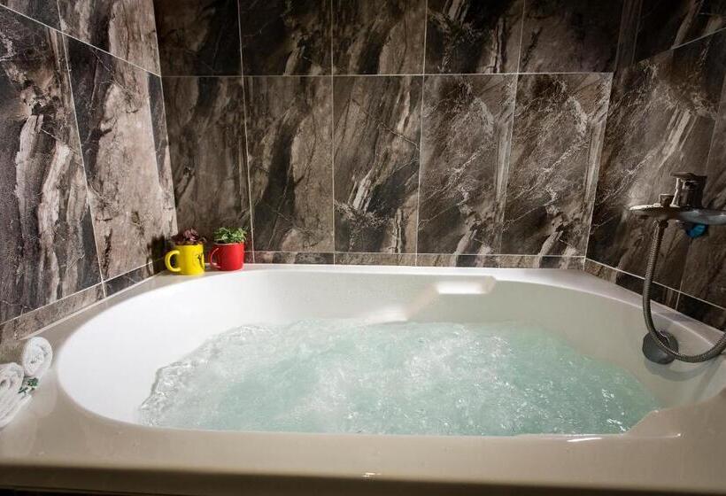 اتاق لوکس, The Young