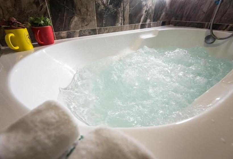 اتاق لوکس, The Young