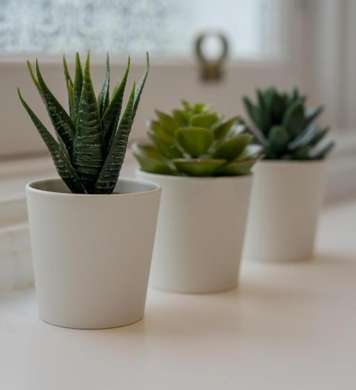 اتاق استاندارد یک نفره, Kingsley Guest House