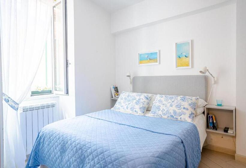 اتاق استاندارد, Solemare