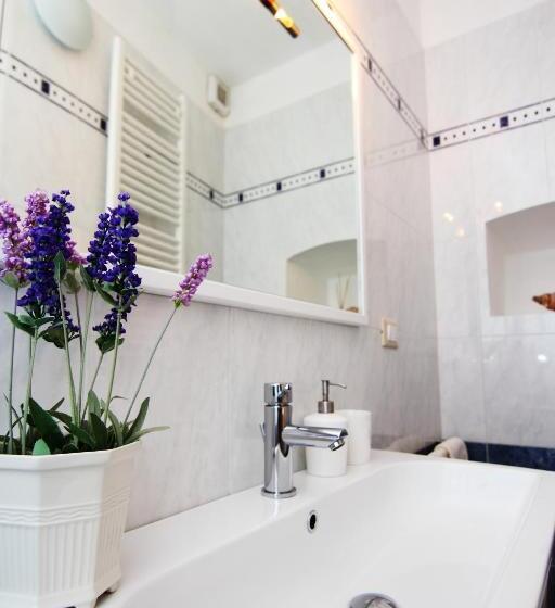 اتاق استاندارد, Solemare