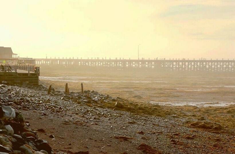 غرفة قياسية سرير مزدوج مطلة على البحر, Treadwell Inn