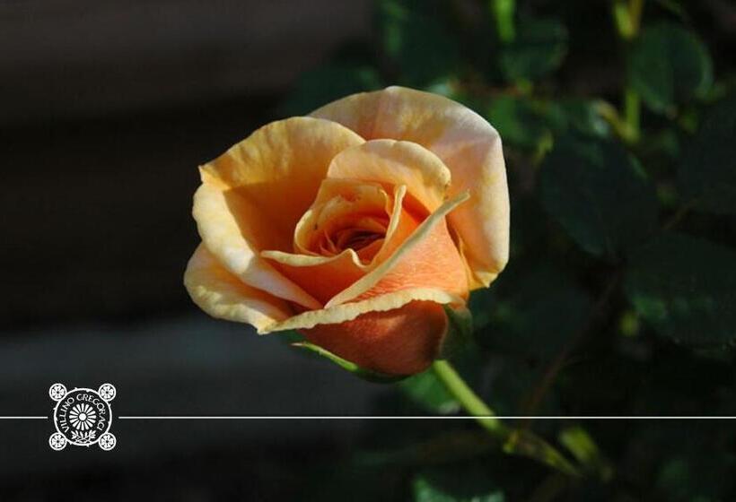 스탠다드 룸, Villino Gregoraci Relais