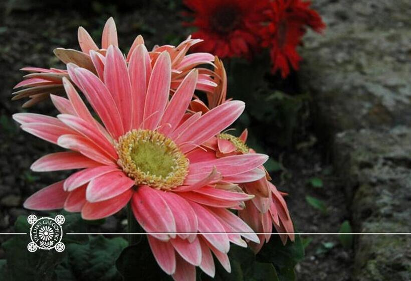 침실 1개 발코니 아파트, Villino Gregoraci Relais