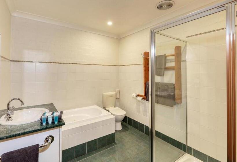 إستوديو ديلوكس, Colonial Motel & Apartments