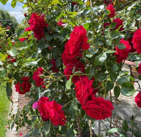 غرفة ديلوكس, Family Hotel Kavrakovi