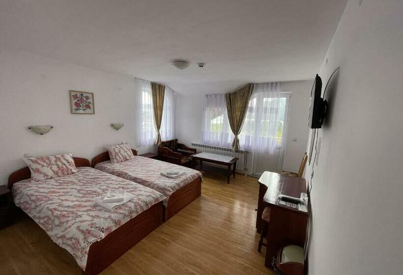 Номер Стандарт с Балконом, Family Hotel Panorama