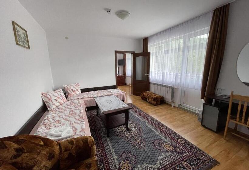 带1个卧室的带阳台的公寓, Family Hotel Panorama