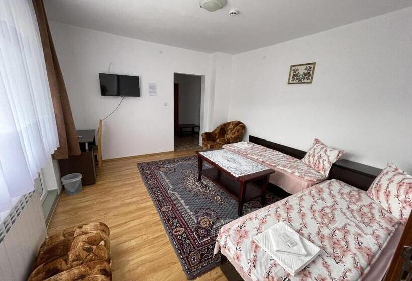 带1个卧室的带阳台的公寓, Family Hotel Panorama