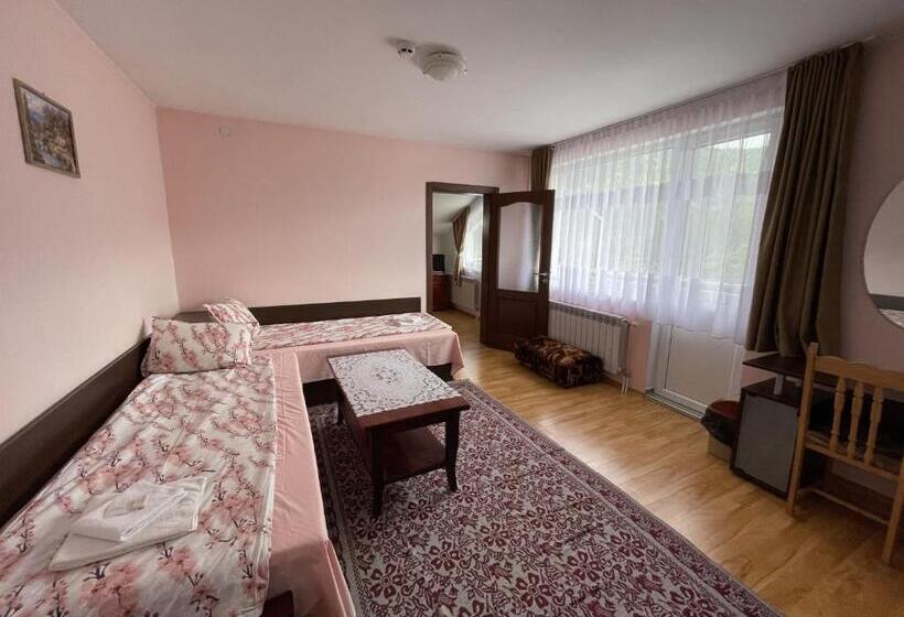 带1个卧室的带阳台的公寓, Family Hotel Panorama