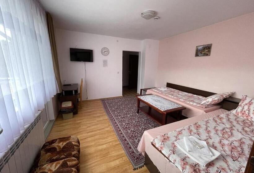 带1个卧室的带阳台的公寓, Family Hotel Panorama