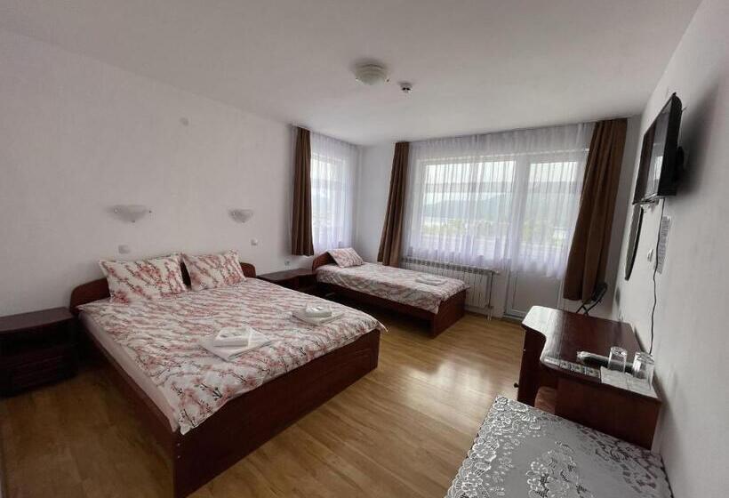 带露台的标准房间, Family Hotel Panorama