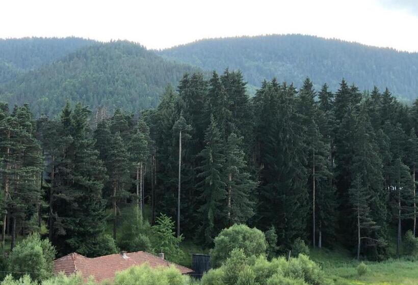 低层单卧公寓, Family Hotel Panorama