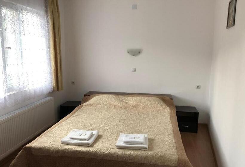 Апартаменты 1 Спальня Нижний Этаж, Family Hotel Panorama