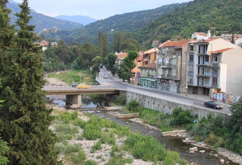 バルコニー付きスタンダードルーム, Central Guest Rooms