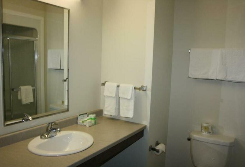 스탠다드 룸, Crossroads Inn & Suites