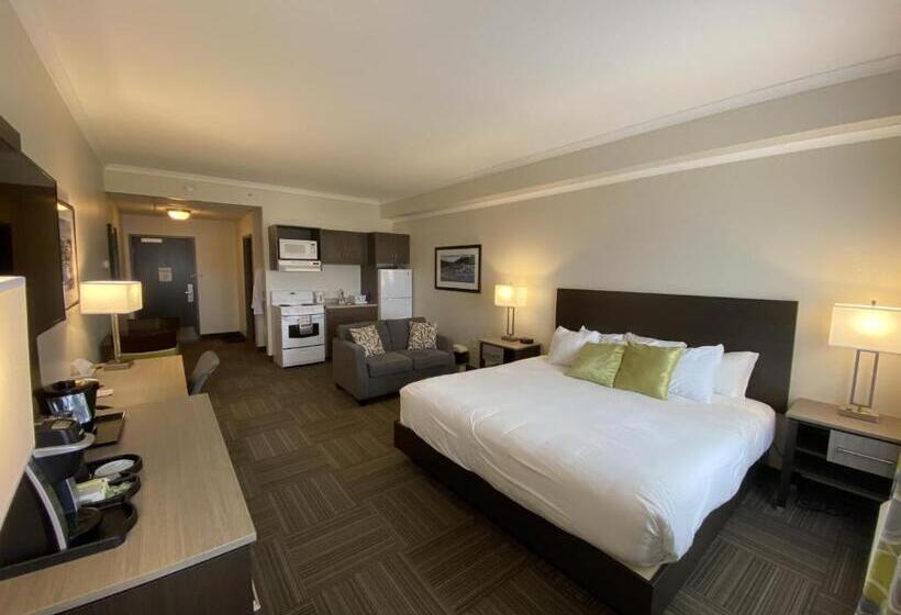 סוויטת ג'וניור, Crossroads Inn & Suites