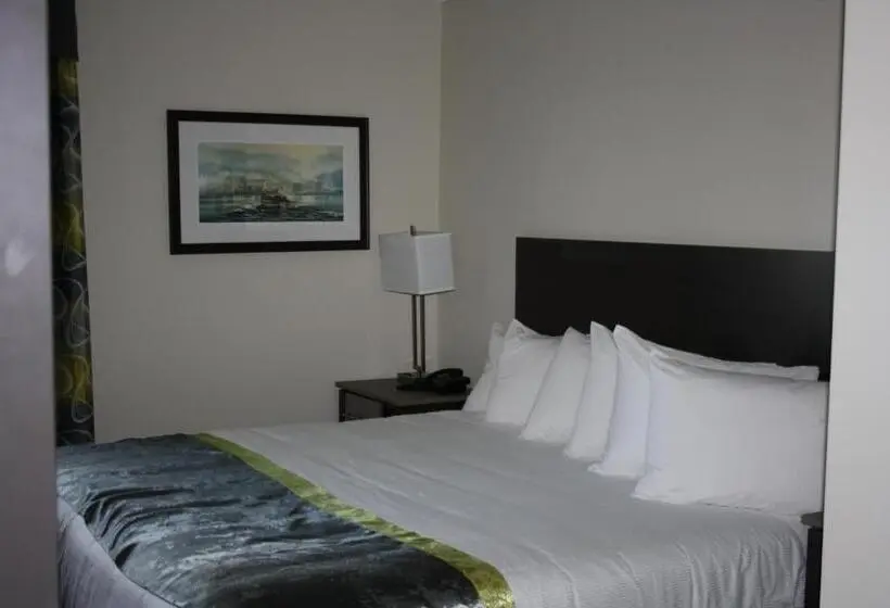 キングサイズベッドのスイートルーム, Crossroads Inn & Suites