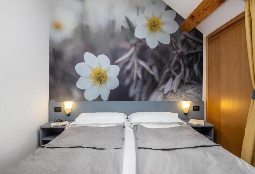 חדר סטנדרט, Pippo