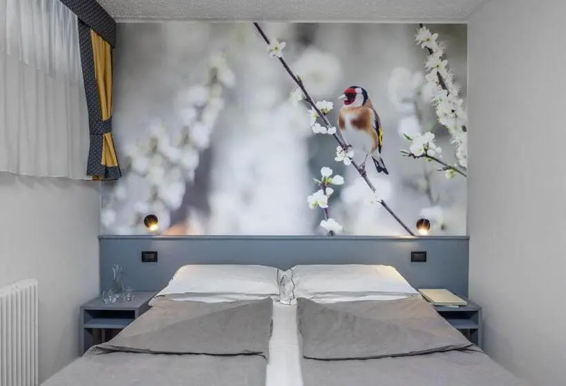 Economy Triple Room, Pippo